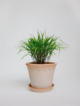 products/SotoProductShootLowQ-1995_f344c7b0-6c8c-4e5d-926e-cc42d73a3593.jpg